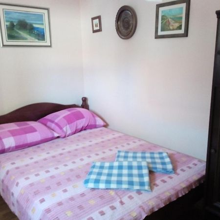 Apartment "Mislav" Gornji Karin Bagian luar foto